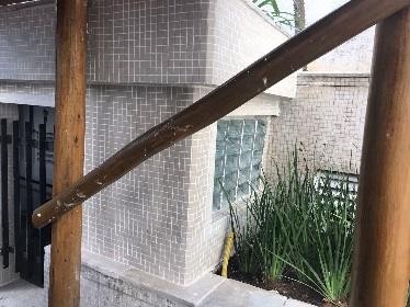 Registro de obra 253