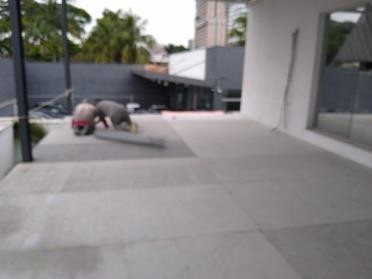 Registro de obra 197