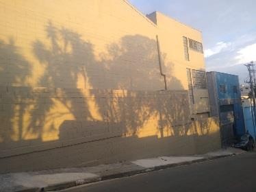 Registro de obra 284