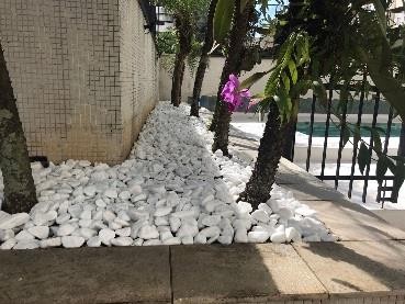 Registro de obra 260